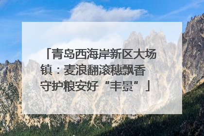 青岛西海岸新区大场镇：麦浪翻滚穗飘香 守护粮安好“丰景”
