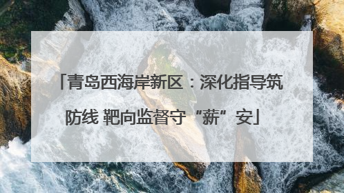 青岛西海岸新区：深化指导筑防线 靶向监督守“薪”安