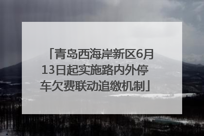 青岛西海岸新区6月13日起实施路内外停车欠费联动追缴机制