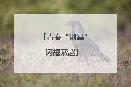青春“创星” 闪耀燕赵