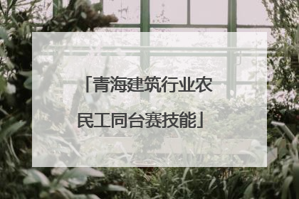 青海建筑行业农民工同台赛技能