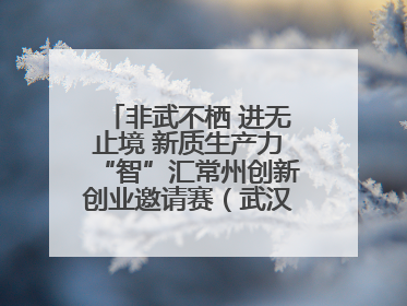 非武不栖 进无止境 新质生产力“智”汇常州创新创业邀请赛（武汉站）圆满举办