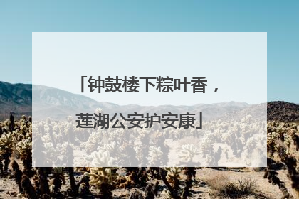 钟鼓楼下粽叶香，莲湖公安护安康
