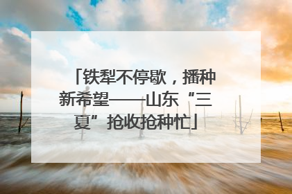 铁犁不停歇，播种新希望——山东“三夏”抢收抢种忙
