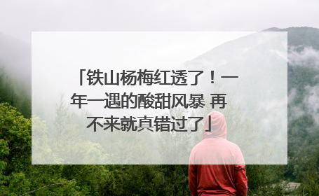 铁山杨梅红透了！一年一遇的酸甜风暴 再不来就真错过了