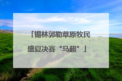 锡林郭勒草原牧民盛夏决赛“马超”