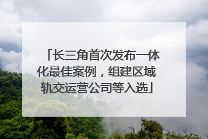 长三角首次发布一体化最佳案例，组建区域轨交运营公司等入选