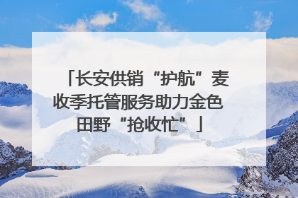 长安供销“护航”麦收季托管服务助力金色田野“抢收忙”