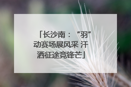 长沙南：“羽”动赛场展风采 汗洒征途竞锋芒