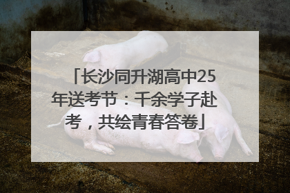 长沙同升湖高中25年送考节：千余学子赴考，共绘青春答卷