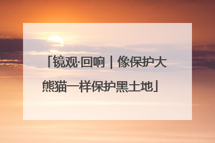 镜观·回响｜像保护大熊猫一样保护黑土地