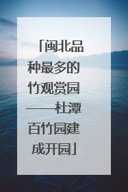 闽北品种最多的竹观赏园——杜潭百竹园建成开园