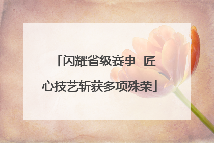 闪耀省级赛事  匠心技艺斩获多项殊荣