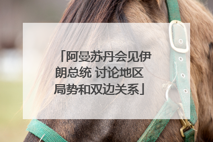阿曼苏丹会见伊朗总统 讨论地区局势和双边关系