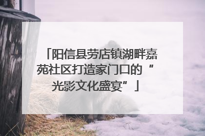 阳信县劳店镇湖畔嘉苑社区打造家门口的“光影文化盛宴”