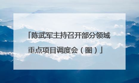 陈武军主持召开部分领域重点项目调度会（图）