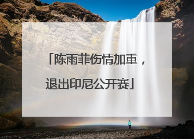 陈雨菲伤情加重，退出印尼公开赛