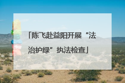 陈飞赴益阳开展“法治护绿”执法检查