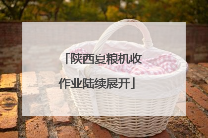 陕西夏粮机收作业陆续展开
