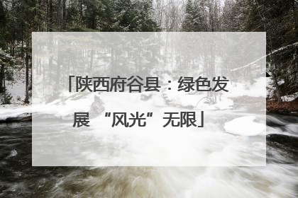 陕西府谷县：绿色发展 “风光”无限