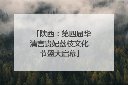 陕西：第四届华清宫贵妃荔枝文化节盛大启幕