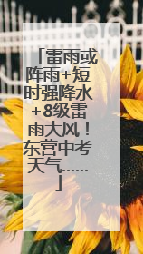雷雨或阵雨+短时强降水+8级雷雨大风！东营中考天气……