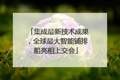 集成最新技术成果，全球最大智能铺排船亮相上交会