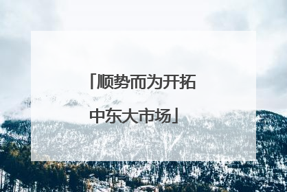 顺势而为开拓中东大市场