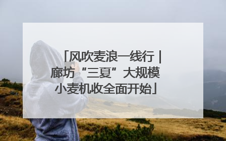风吹麦浪一线行｜廊坊“三夏”大规模小麦机收全面开始