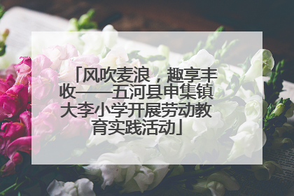 风吹麦浪，趣享丰收——五河县申集镇大李小学开展劳动教育实践活动