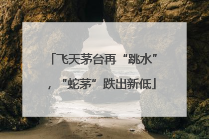 飞天茅台再“跳水”，“蛇茅”跌出新低