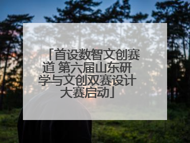 首设数智文创赛道 第六届山东研学与文创双赛设计大赛启动