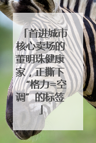 首进城市核心卖场的董明珠健康家，正撕下“格力=空调”的标签