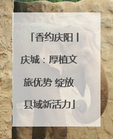 香约庆阳丨庆城：厚植文旅优势 绽放县域新活力