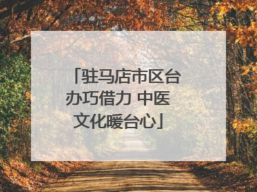 驻马店市区台办巧借力 中医文化暖台心