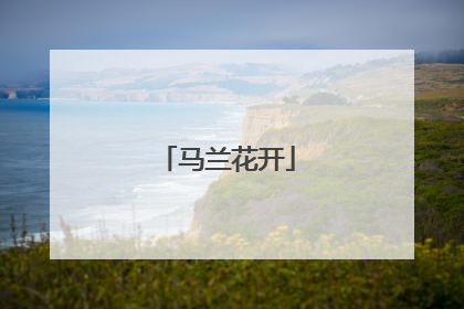 马兰花开