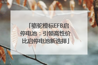 骆驼橙标EFB启停电池：引领高性价比启停电池新选择