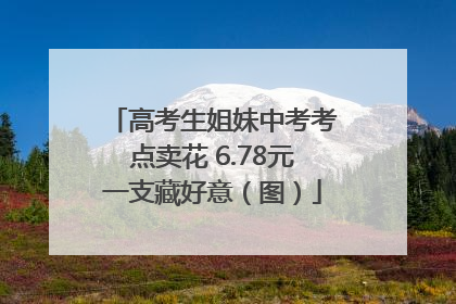 高考生姐妹中考考点卖花 6.78元一支藏好意（图）