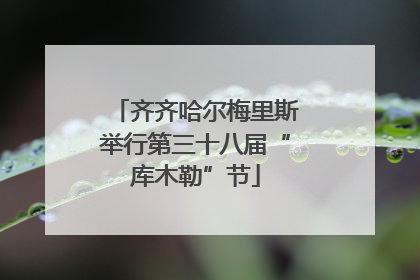 齐齐哈尔梅里斯举行第三十八届“库木勒”节