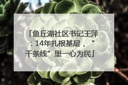 鱼丘湖社区书记王萍：14年扎根基层，“千条线”里一心为民