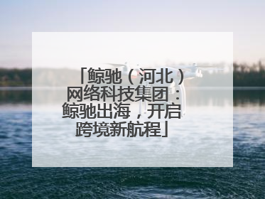 鲸驰（河北）网络科技集团：鲸驰出海，开启跨境新航程