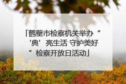 鹤壁市检察机关举办“‘典’亮生活 守护美好”检察开放日活动