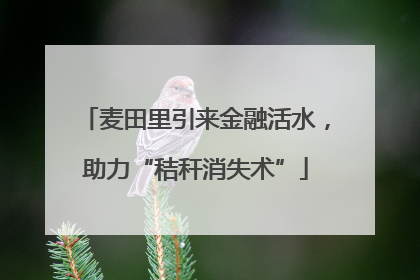 麦田里引来金融活水，助力“秸秆消失术”