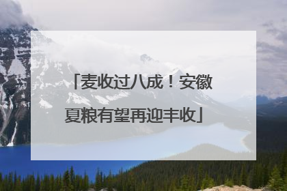 麦收过八成！安徽夏粮有望再迎丰收