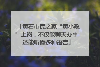 黄石市民之家“黄小政”上岗，不仅能聊天办事还能听懂多种语言