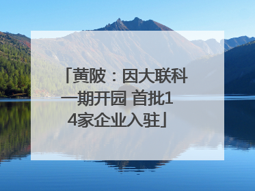 黄陂：因大联科一期开园 首批14家企业入驻