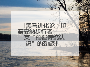 黑马进化论：印第安纳步行者——一支“颠覆传统认识”的劲旅