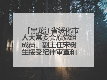 黑龙江省绥化市人大常委会原党组成员、副主任宋树生接受纪律审查和监察调查