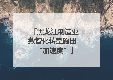 黑龙江制造业数智化转型跑出“加速度”