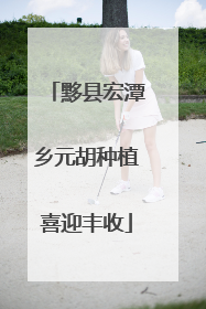 黟县宏潭乡元胡种植喜迎丰收